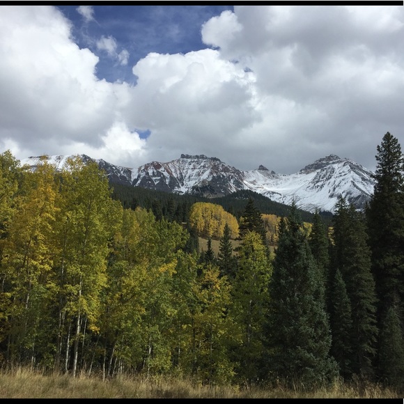 Meet your Posher, Erin - Picture 1 of 1